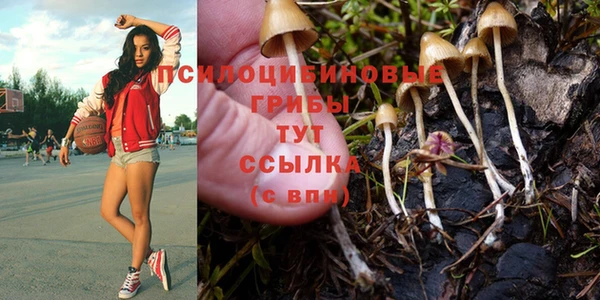 скорость Арсеньев