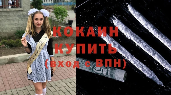 гидра Осинники