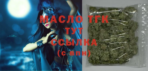 шишки Осташков