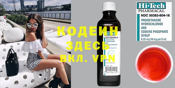 шишки Осташков