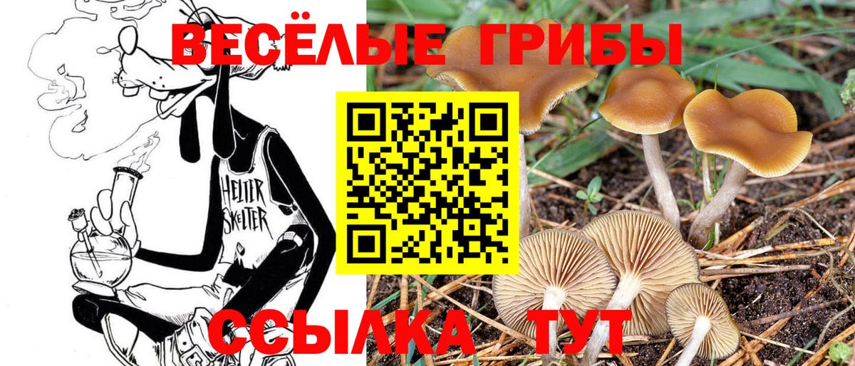 Галлюциногенные грибы Magic Shrooms Воскресенск