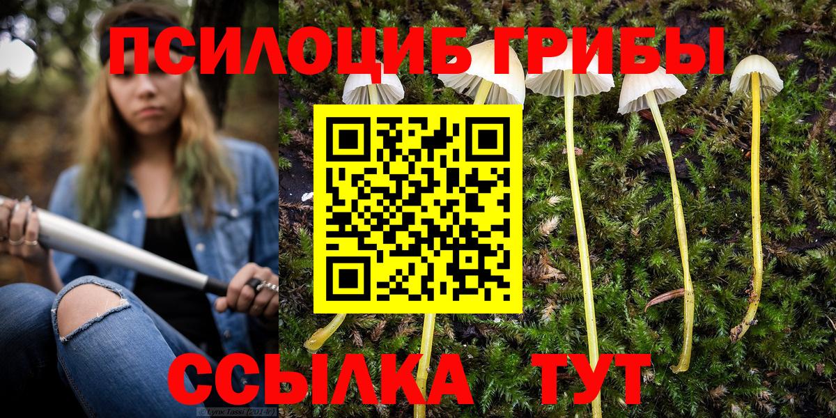 Галлюциногенные грибы Magic Shrooms Воскресенск