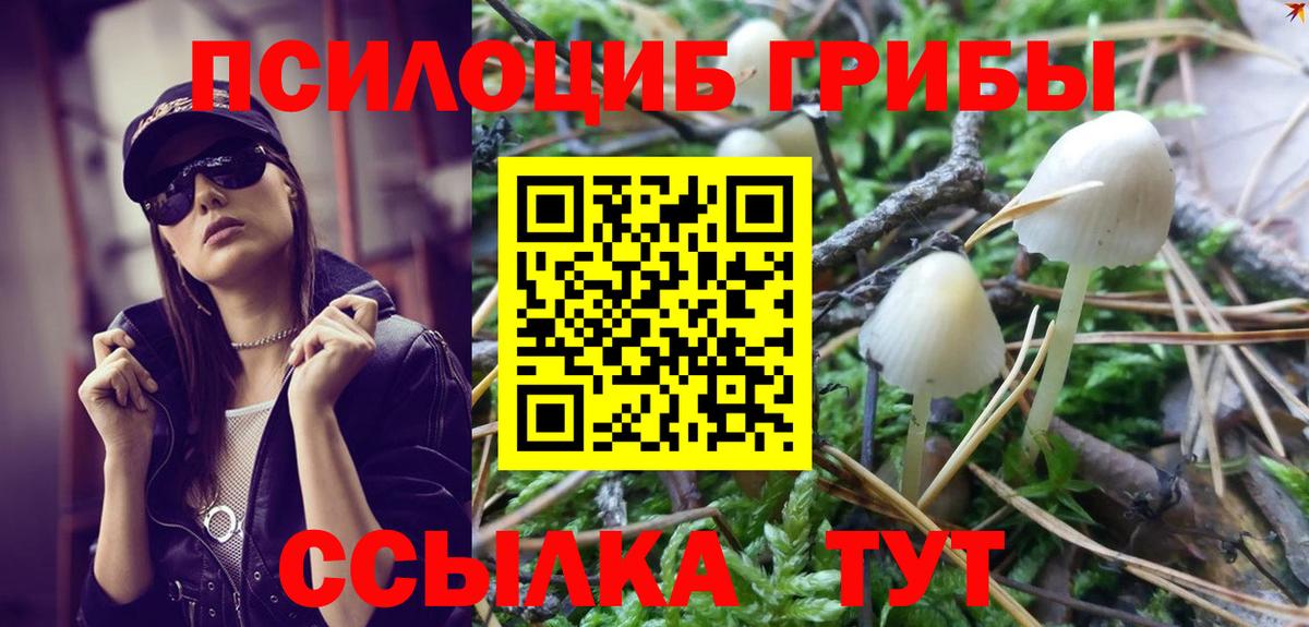 Галлюциногенные грибы Воскресенск