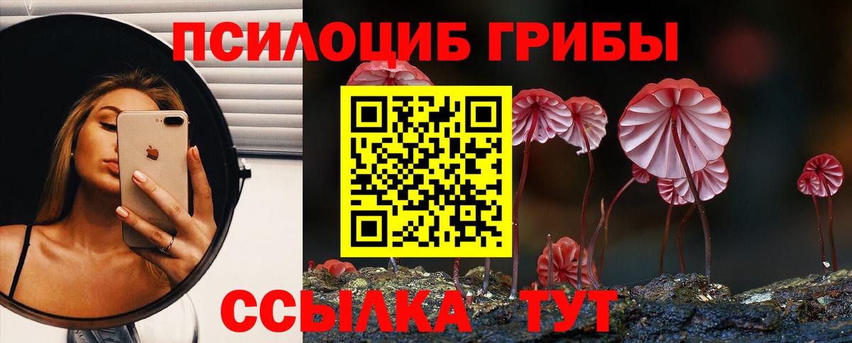 Псилоцибиновые грибы Psilocybe  Воскресенск 