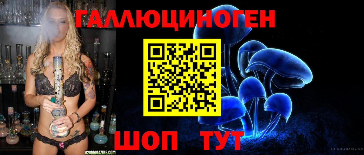 Псилоцибиновые грибы Cubensis  Вход с VPN  Воскресенск 